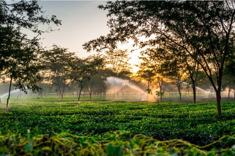 Arunachal Pradesh Package Tour From Guwahati