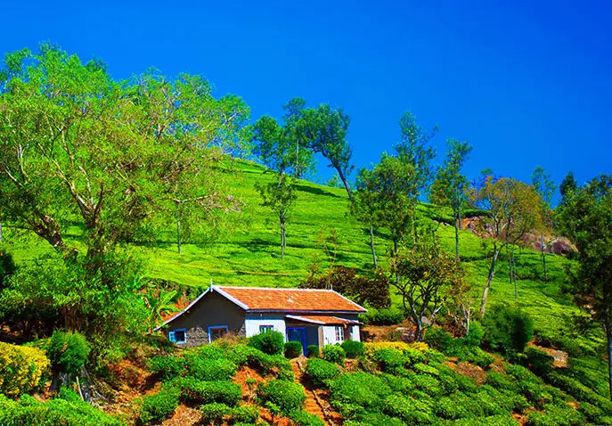 Karnataka Tour Packages For 3 Night And 4 Day
