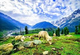 Kashmir Tour Packages From Kerala
