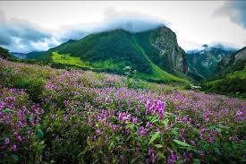 Sikkim Tour Packages For Couple